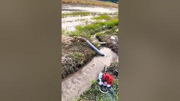 máy cắt cỏ bơm nước kiểu này thì bao ngon