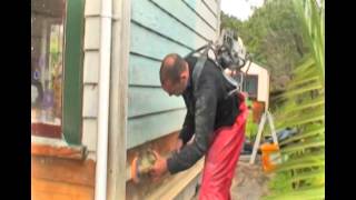 Alderson Sander - How To Use It