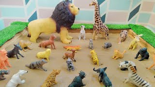 Forest Creatures Meet Farm & Pet Animals in the Sandbox | Learning & Playing