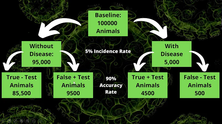 Heuristics: The Base Rate Fallacy and Medical Diagnostics