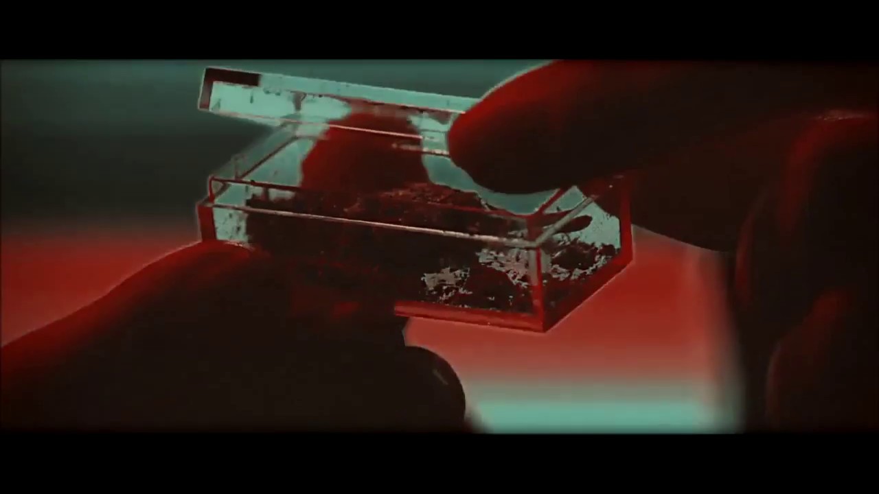 FKA Twigs - Papi Pacify (#DICHI Flip) - YouTube