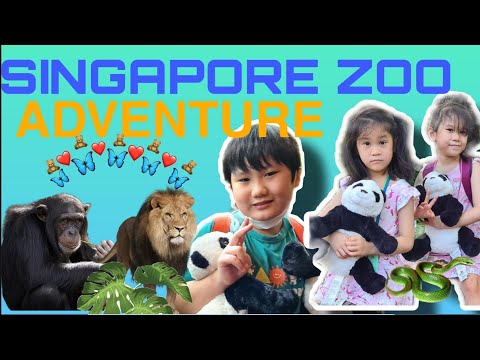 Vídeo: Animals De Companyia De Singapur Per Obtenir Obituaris De Diaris