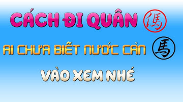 Nước Cản Mã Dành Cho Những Ai Chưa Biết | Cờ Tướng Tinh Túy