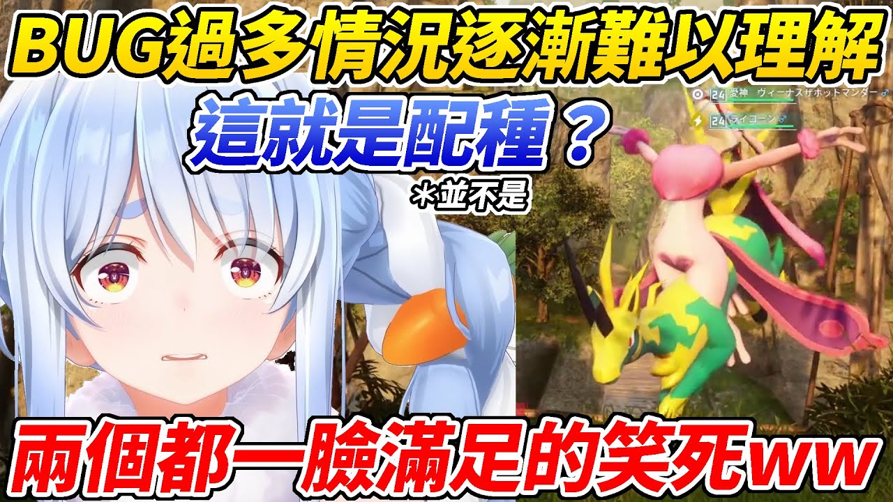 被雷角馬的bug搞到快氣死的族長下一秒又差點被另一個bug給笑死ww【兔田佩可拉／兎田ぺこら】【ホロライブ切り抜き】【HOLOLIVE中文】