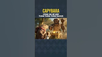 CAPYBARA CÙNG EM BÉ GẶP TUNG TUNG TUNG SAHUR  #capybara #youtubeshorts  #movie #giaitri #film