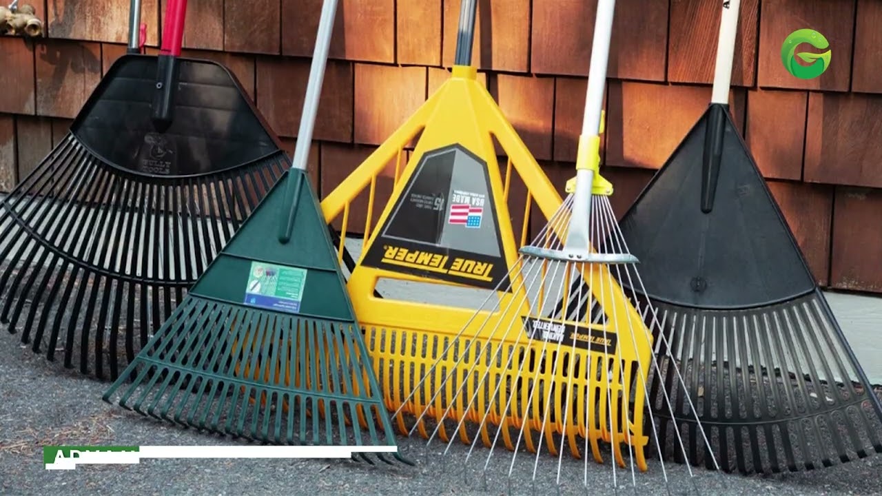 Ames vs Razor Leaf Rake – Which One Should You Buy?
