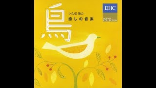 小久保 隆 Takashi Kokubo - Healing Music - Bird (Full Album)