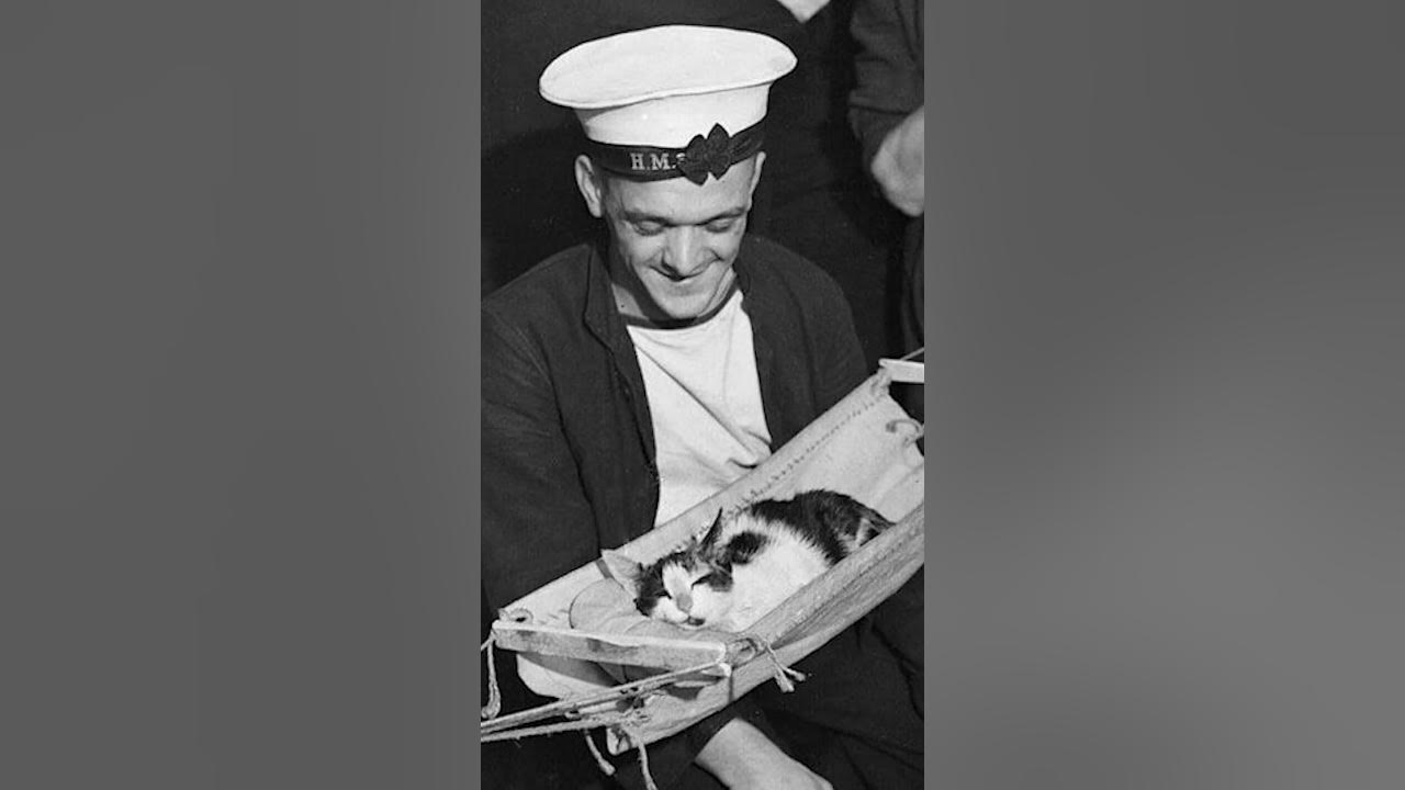 Why did sailors on ships sleep in hammocks in the old days? sea 