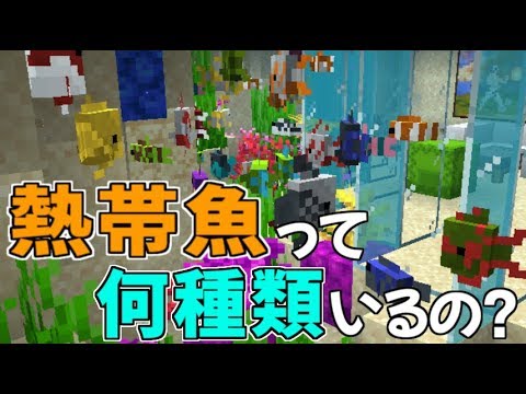 熱帯魚の種類を大解剖 シカとペコの仲良しminecraft 65 Youtube