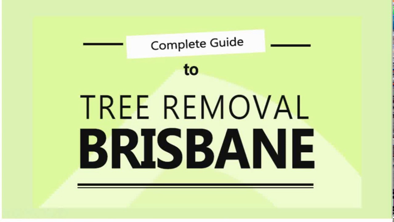 Tree Removal Brisbane - Rules, Costs and How to Save Hundreds - YouTube