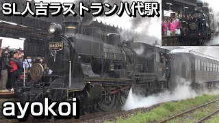 101年の歴史に幕 SL人吉58654号機 本当のラストラン JR貨物八代駅より