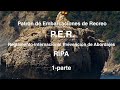 RENSEL SPAIN Leccion 1, RIPA,1parte, P E R