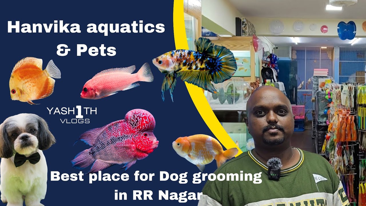 Hanvika Aquatics and Pet Shop in RRnagar Best place for Dog Grooming