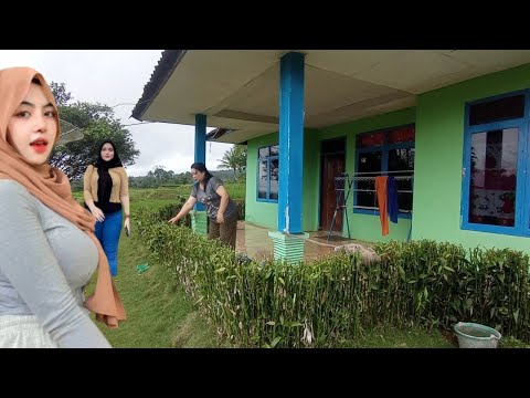 WOW..Bikin Kaget Ngintip Kehidupan Janda Desa Bohay Di Kampung Pedalaman Terpencil Di Tengah Sawah