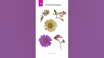 Here are CANVA Scrapbook Elements that you should try!