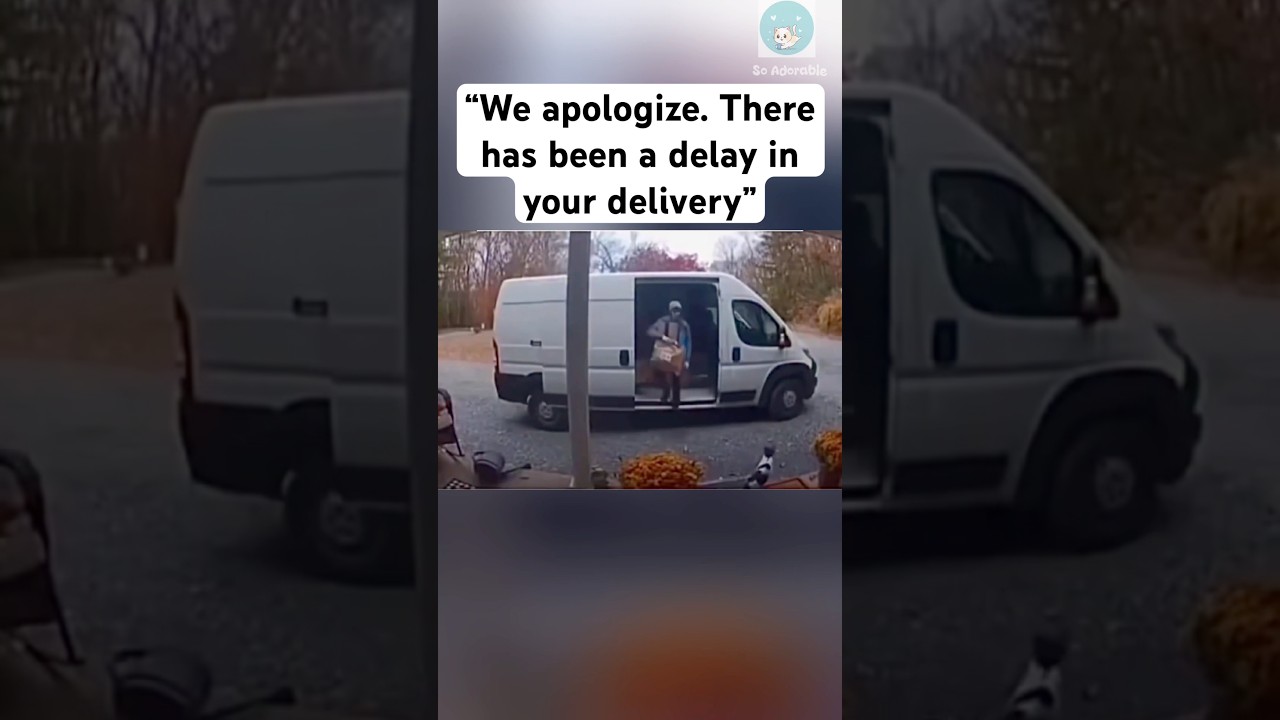 The delivery guy has been chosen by a cat 😆