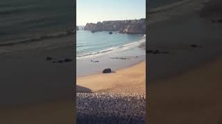 Cinta Kasih Universal #ajaranbuddha #bhanteuttamo #dhamma #peace #love #relax