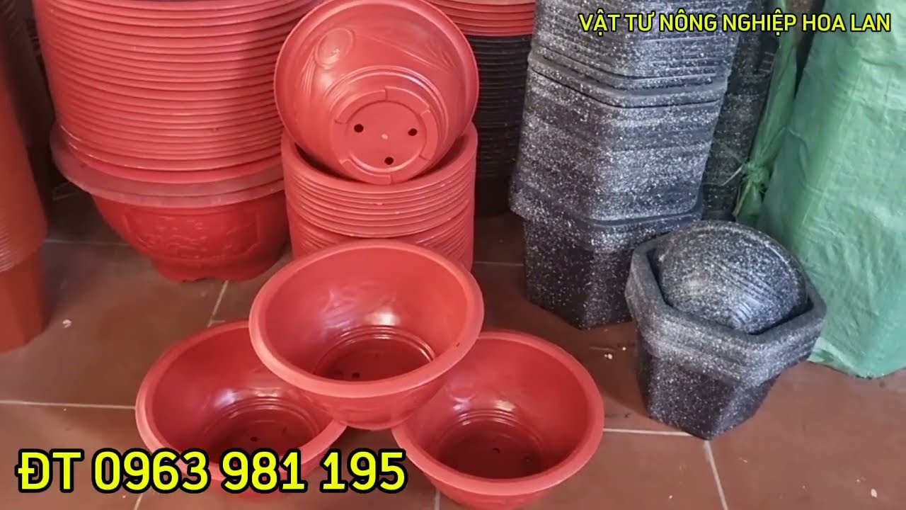 CHẬU NHỰA TRỒNG HOA TẾT MÃ 3 TẤC PHÚC LỘC THỌ HÀNG CÔNG TY BỀN ĐẸP #chậunhựat38giárẻ