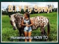 Horsemanship HOW TO: D.I.Y Natural Fly Spray! EP.2