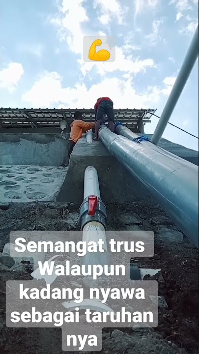 Bertaruh nyawa