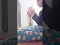 يومياتي المجنونه من آيه الحبوبه ومن منزلي المتواضع احييكم