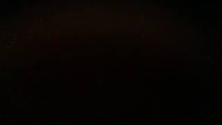 Wonder Pets Theme Dolphin