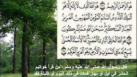 سورة الحشر  sorat al-hashr  -  وليد النائحي