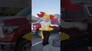 Can A Braixen Find Love