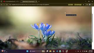 Kali Linux WSL Installation