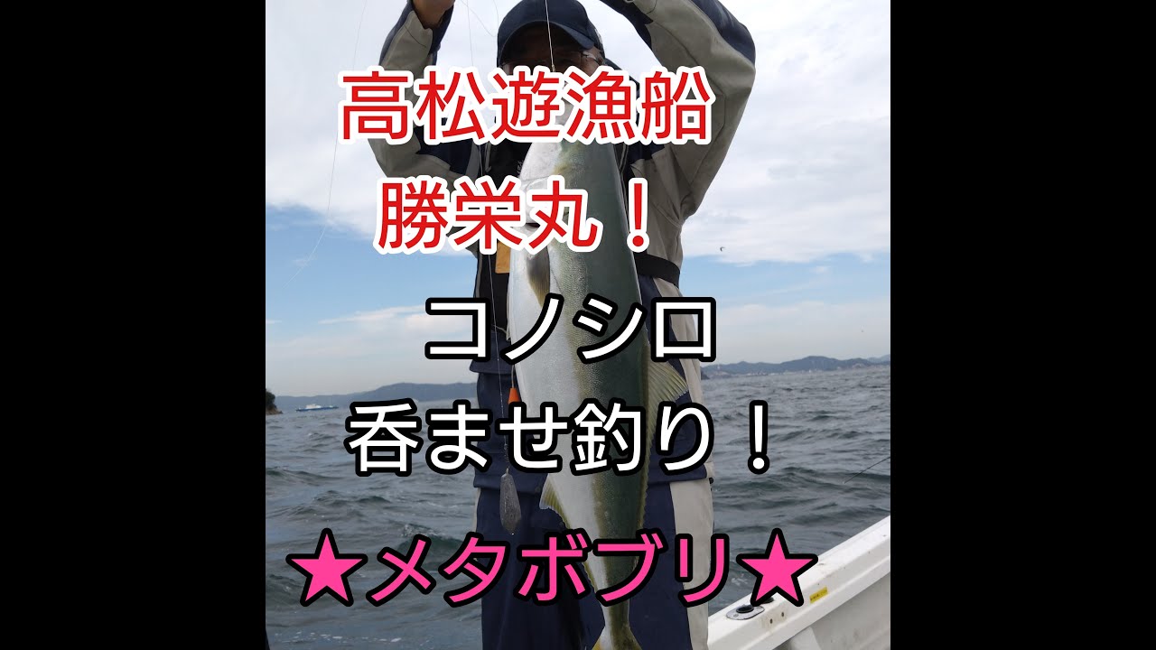 2025 11 09　コノシロ吞ませブリ釣り！遊漁船勝栄丸