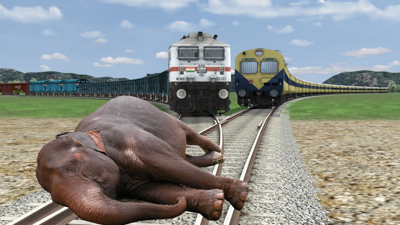 Angry Rail ANGRY ELEPHANT vs RAILS :-: Stops The Train -:- Train Simulator - YouTube