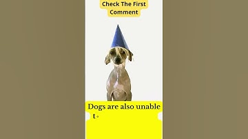 Thumbnail of are dogs color blind ? #shorts