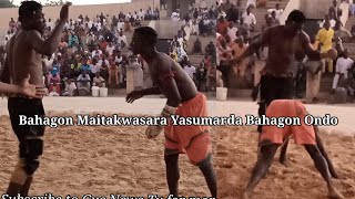 Bahagon Maitakwasara Yasumarda Bahagon Ondo, Gambon Chisko V Shgn Bhgn Alin Tarara 13112021