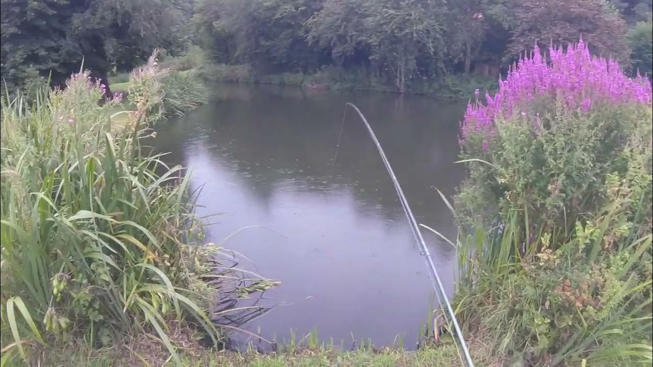 Spring Hill #troutfishing summer #flyfishing just a look around