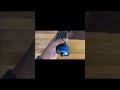 Watch This Model Engine Roar to Life! #notalking #asmr #handtools #automobile #satisfying