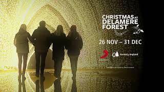 Christmas at Delamere Forest 2021