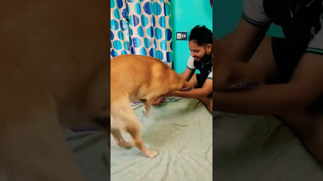 Cuteness overloaded Cocoka 🥰🧿❤️