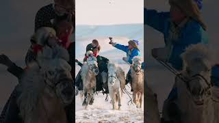 Best Wild Horses Mare Revolutionizing Young Foals Future Andalusian Stallions Horses