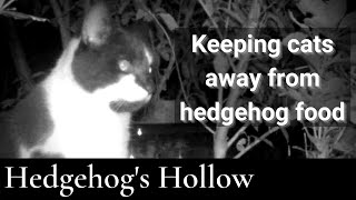 Keeping cats out of a Hedgehog Feeding Station | Hedgehog's Hollow