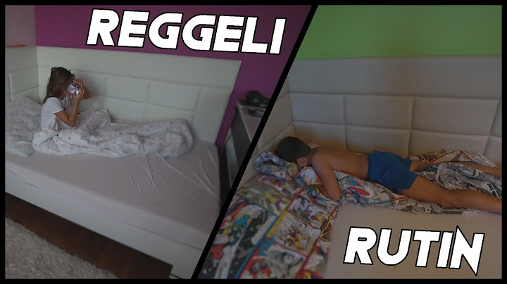 REGGELI RUTINUNK! LAURA VS NORMAN!