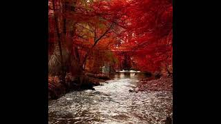 La constancia, Nombre de Dios, Dgo.