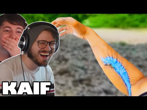 REGRETTABLE DAILY DOSE OF INTERNET MOMENTS | NoBeans REACT
