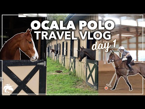 TRAVEL VLOG | Riding & Polo in Ocala! | Hailey Liberty