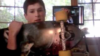 landyachtz wolfshark review