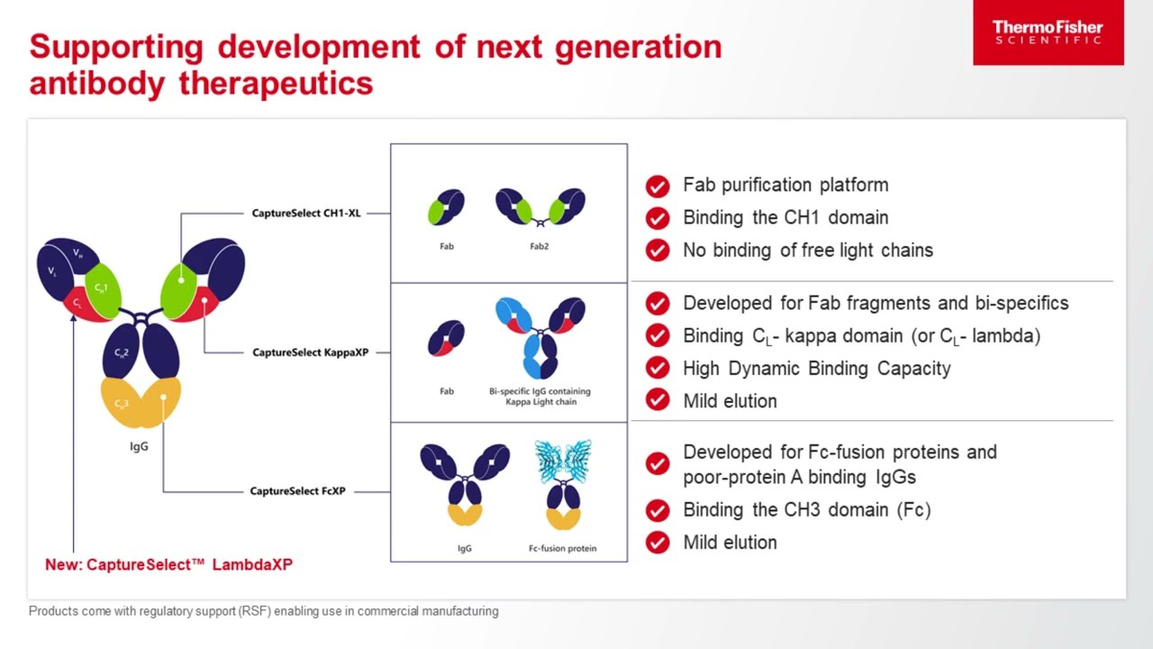 The Way Forward in Therapeutic Antibody Purification