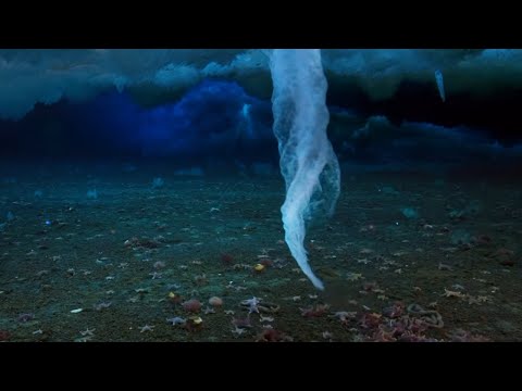 Video: Secrets Of The World: Was Antarctica Atlantis - Alternativní Pohled