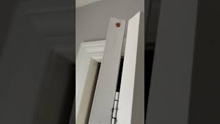 Bifold door test