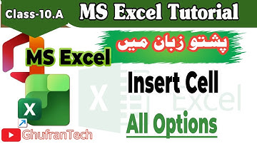 Insert Cell All Options Explained in Pashto
