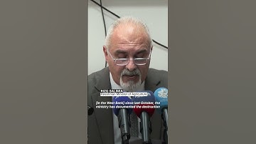 Settler violence disrupts West Bank olive harvest