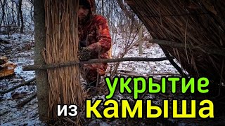 Делаю Укрытие Из Камыша Возле Землянки